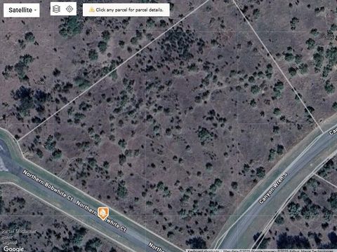 Lot 23 Northern Bobwhite Graford TX 76449