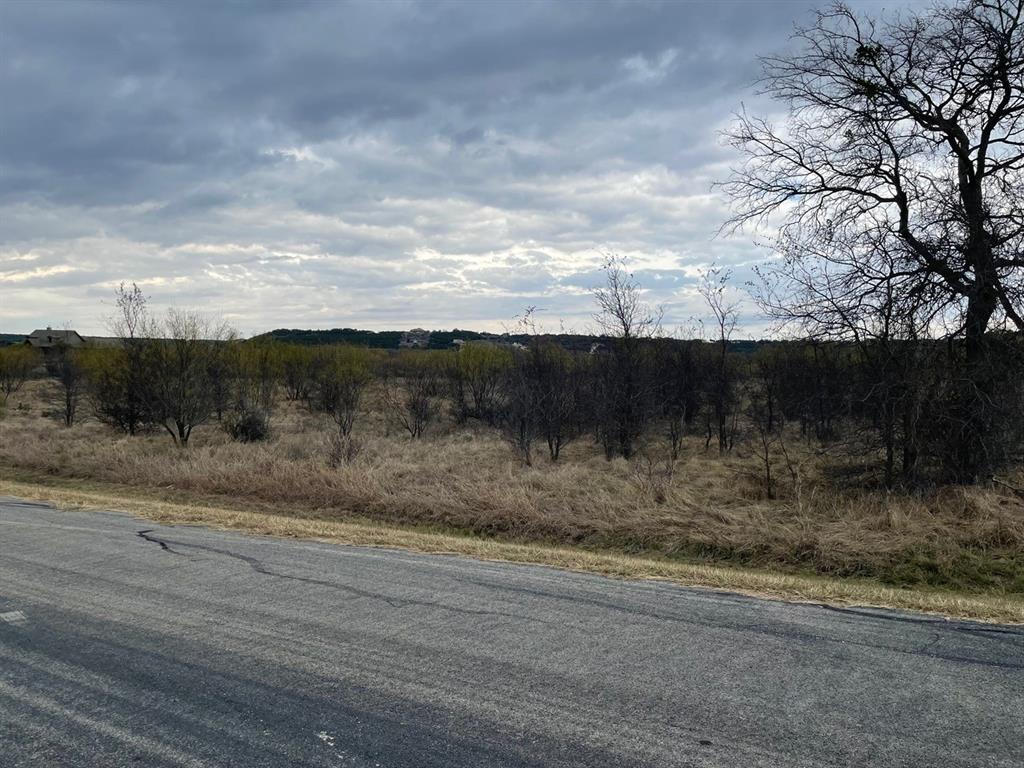 Lot 23 Northern Bobwhite