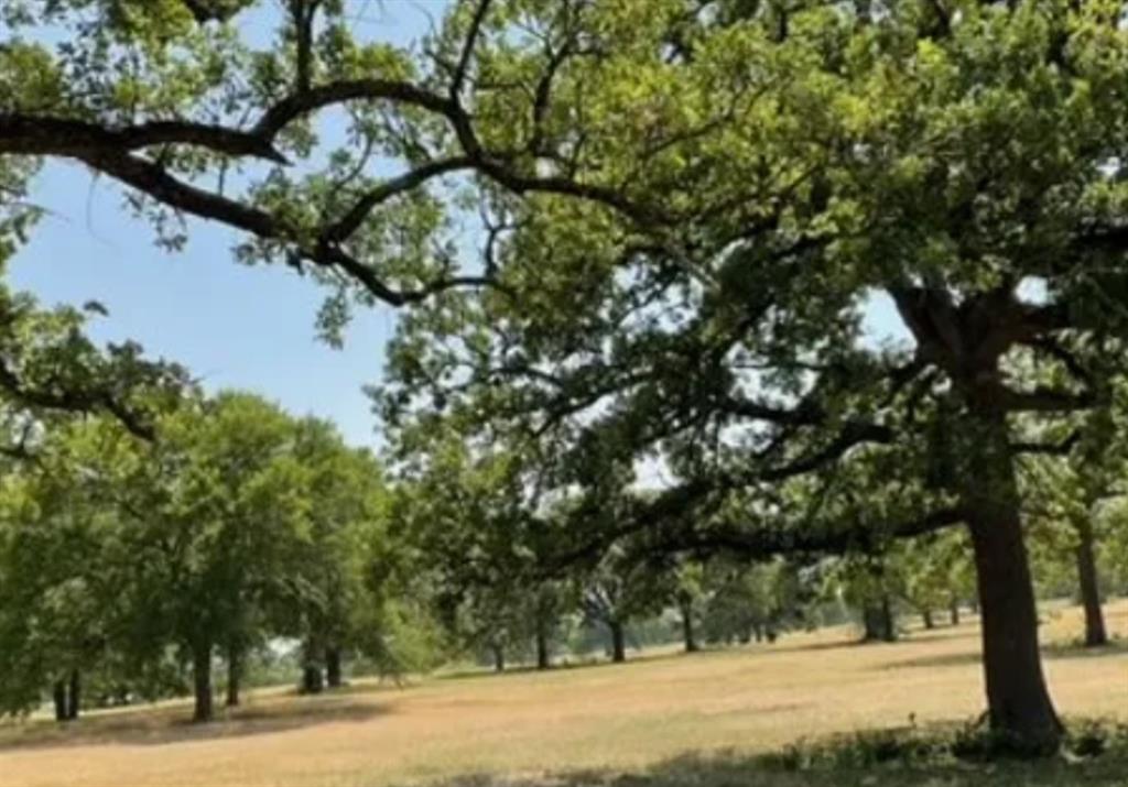 Retta Oaks Ranch - Land