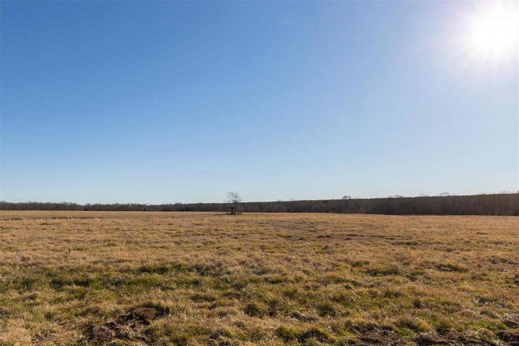 Wishing Star Ranch - Land