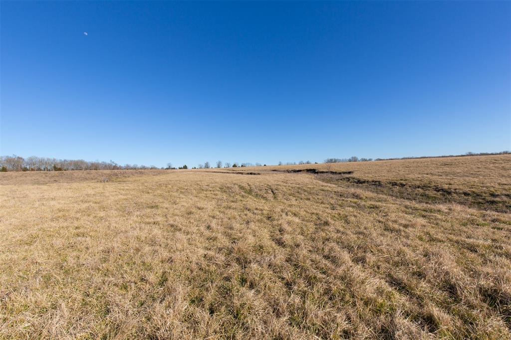 Wishing Star Ranch - Land