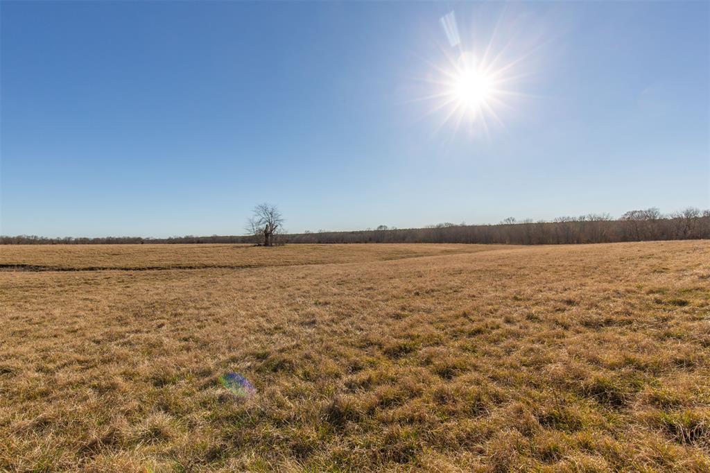 Wishing Star Ranch - Land