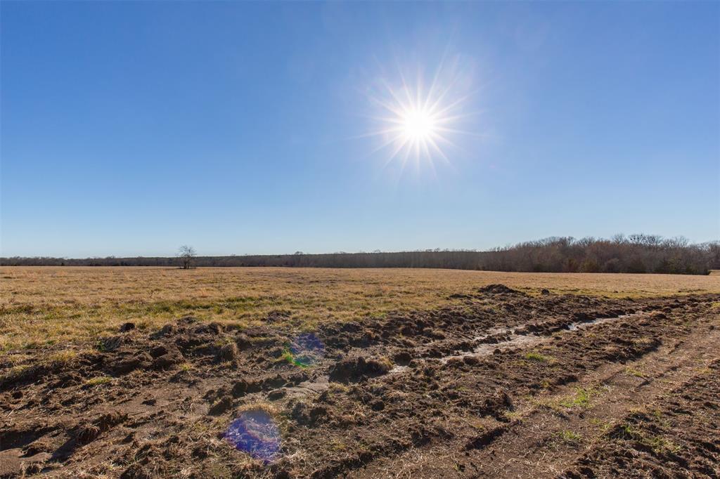 Wishing Star Ranch - Land