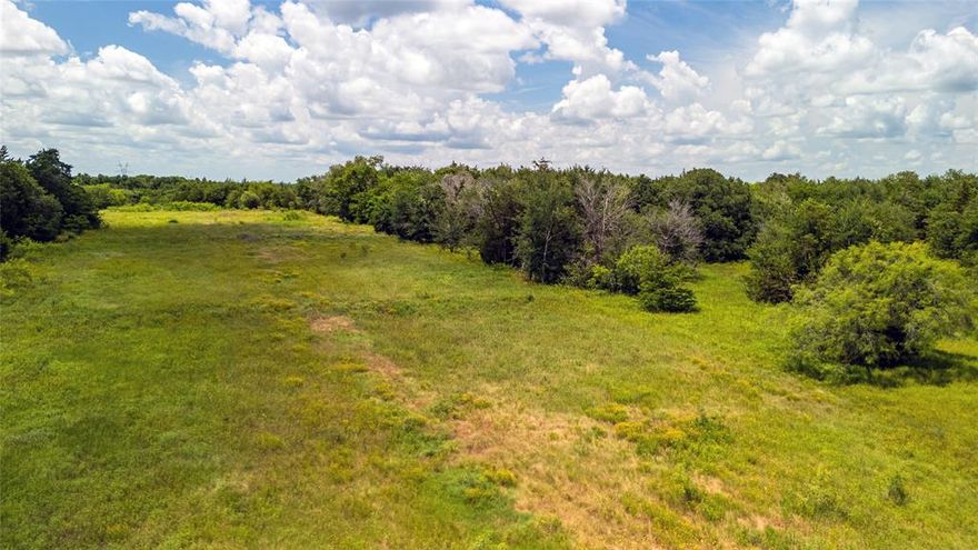 Seller Finance is available. This 10-acre tract of land, ideally situated just 10 minutes south of Wortham and a mere 20 minutes from Corsicana offers the ultimate blend of convenience yet is close to several stunning lakes and the city!  It is one of several that are currently available. With no deed restrictions, a new 4-inch water line and water tap fees have been paid, saving you thousands, the possibilities are endless—whether you're envisioning a large homestead, a weekend retreat, or an investment opportunity. The lush, green landscape is a blank canvas awaiting your vision. The mature trees provide a picturesque backdrop, while the open spaces offer ample room for building, farming, or recreational activities. Enjoy the peace of rural living without sacrificing accessibility to nearby towns and amenities. Photos are of the entire property.