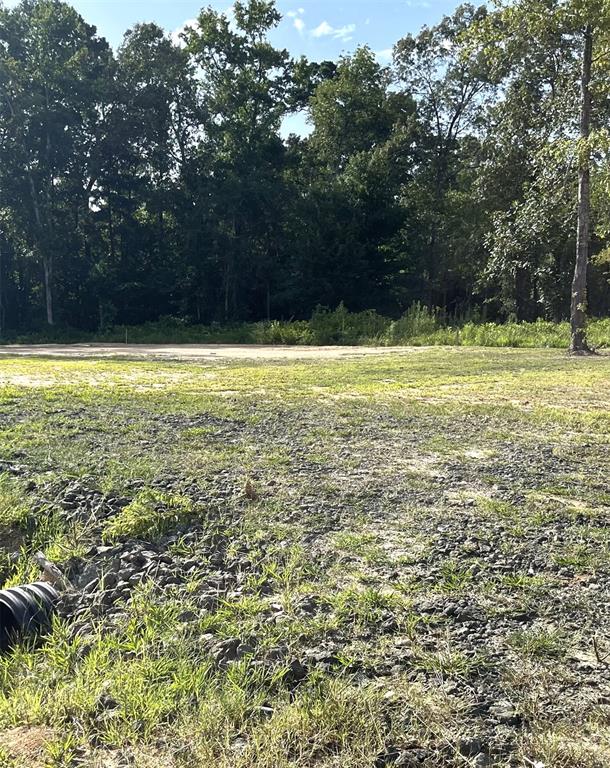 Merry Oaks Plantation #2 - Land