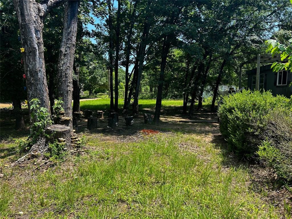 120 Timber Trail