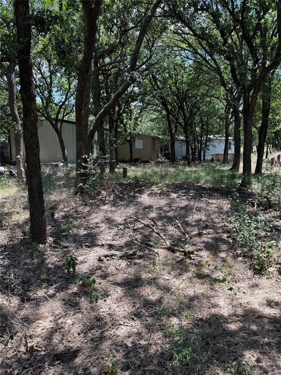 2504 Brushy Nob Drive