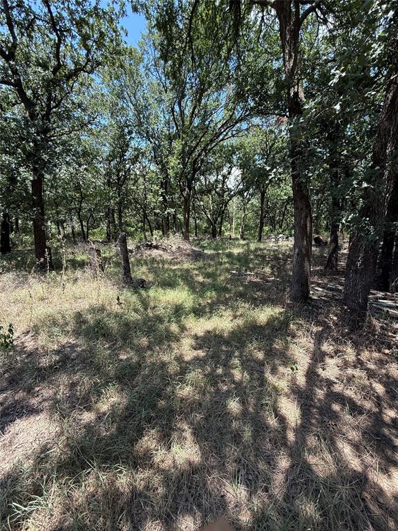 2504 Brushy Nob Drive