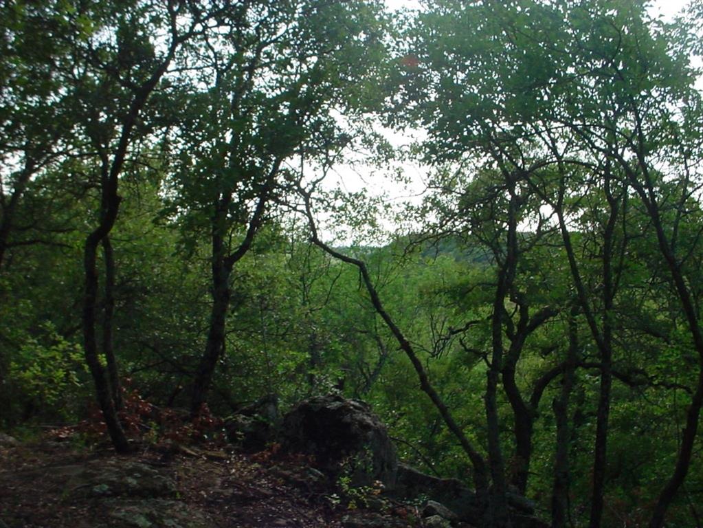 7R Ranch Phase 3 - Land