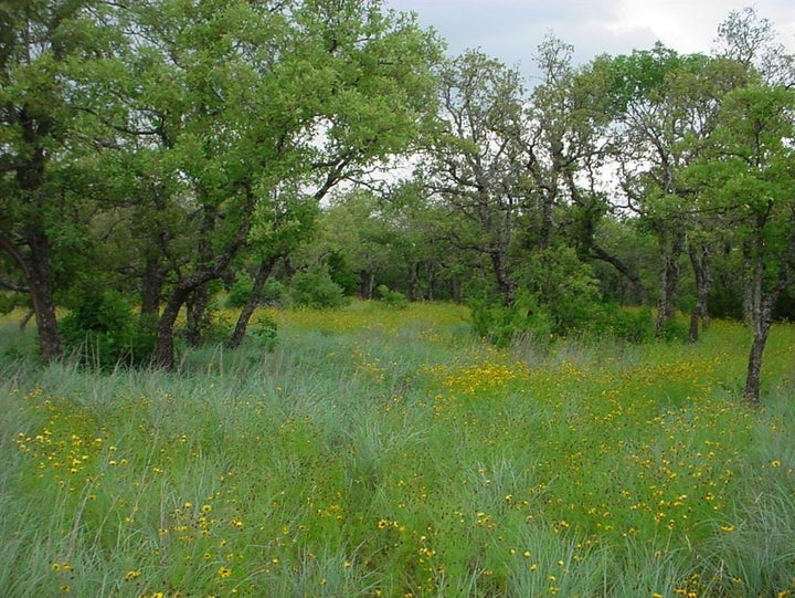 Photo 1 of 5 — 6H Stagecoach Trail, Gordon, TX 76453