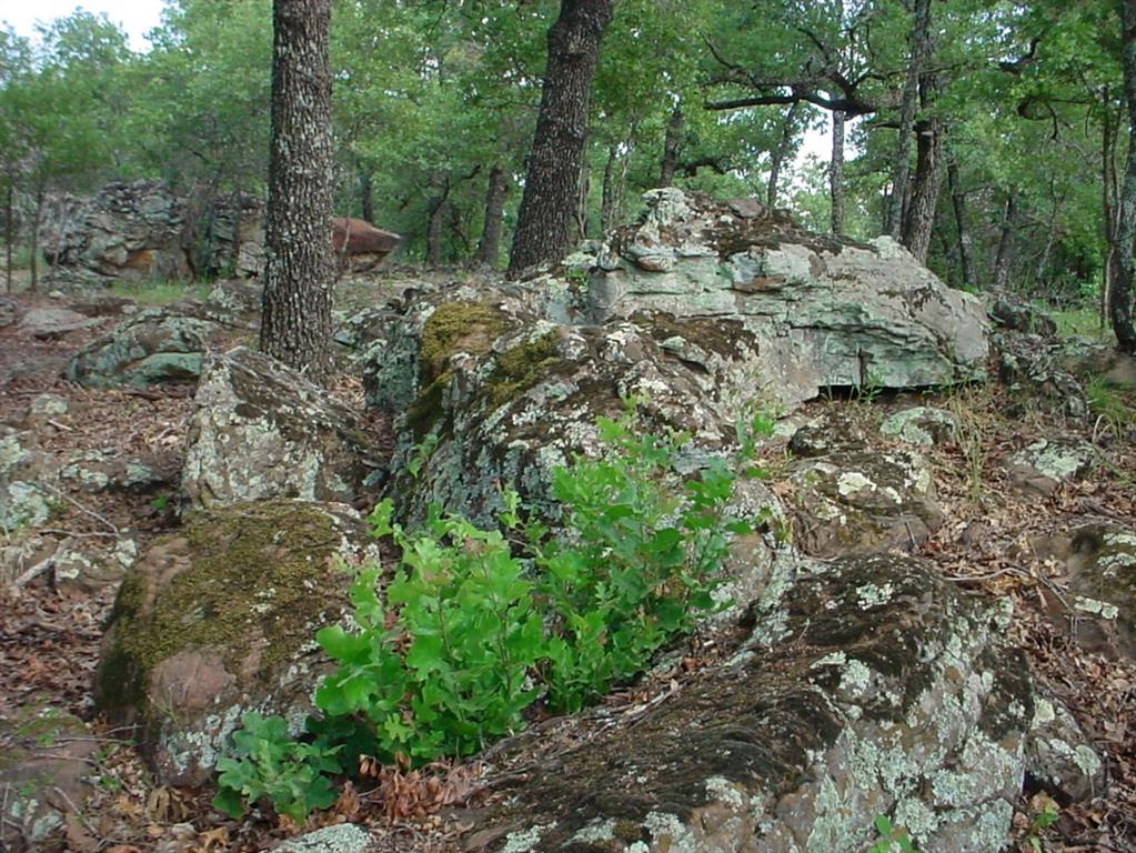 7R Ranch Phase 3 - Land