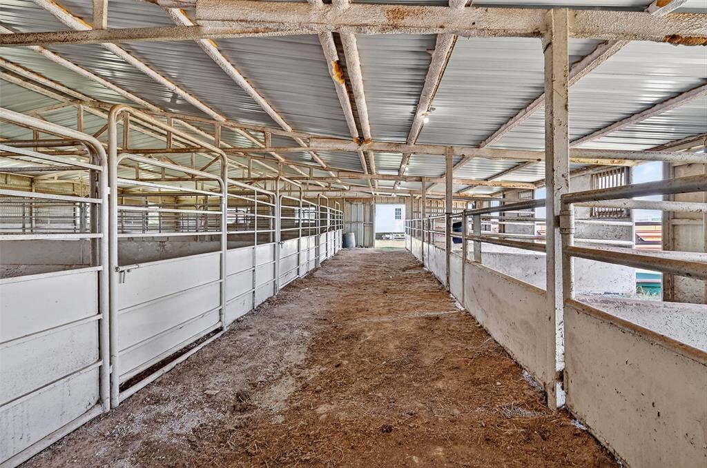 kitchen patsy - Farm