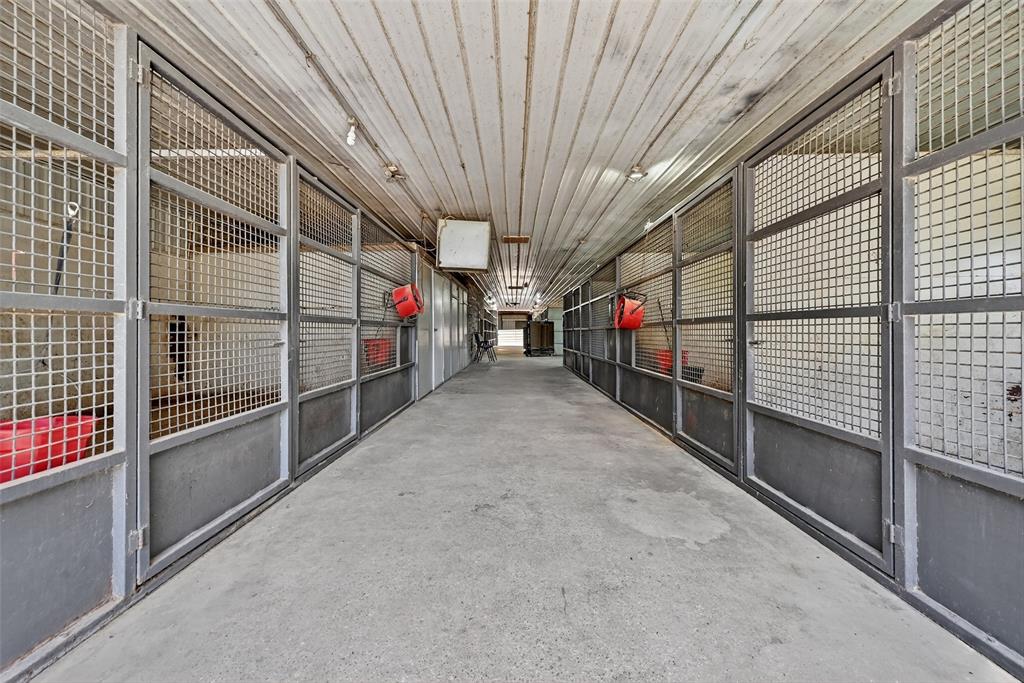 kitchen patsy - Farm