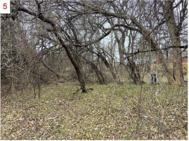 The Woodlands Add - Land