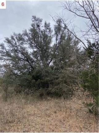 The Woodlands Add - Land