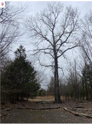 The Woodlands Add - Land