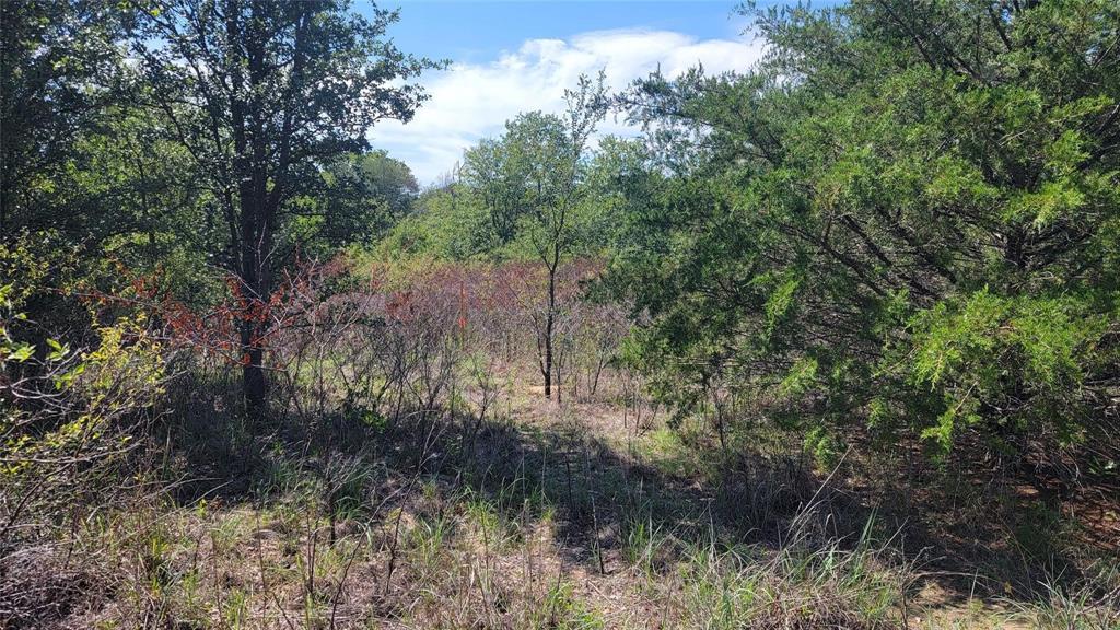 The Woodlands Add - Land