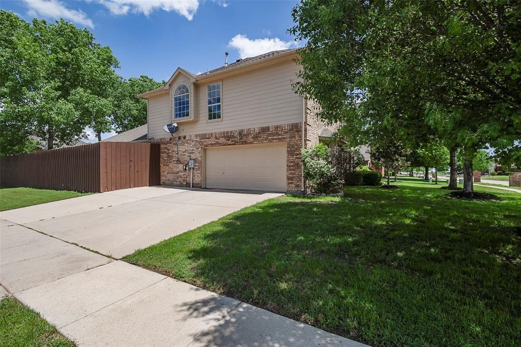 1128 Cactus Spine Drive