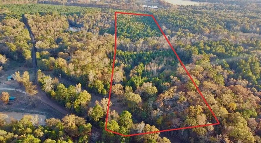Discover over 28 acres of prime East Texas land located in Pittsburg, TX and within the highly regarded Gilmer School District. Whether you’re searching for the perfect place to build your dream home, a private getaway for hunting, or a smart timber investment, this property checks every box. A potential hilltop homesite offers stunning panoramic views of the rolling countryside—an ideal setting for a forever home or weekend retreat. Surrounded by larger tracts of farm and timber land, the area is well-known for producing trophy-size deer, making the hunting opportunities here truly exceptional. The property also features well-managed planted pines that are on track for harvest in the coming years, adding immediate and future investment value. A beautiful creek runs through the acreage, enhancing both the scenery and wildlife habitat. Located down a quiet dead-end road, this tract offers unmatched privacy and seclusion while still being conveniently accessible. Electric is on site, and water is available at the road. Whether you’re seeking recreation, investment, or a peaceful place to call home, this property fits the bill. A must-see in person—this East Texas gem won’t disappoint!