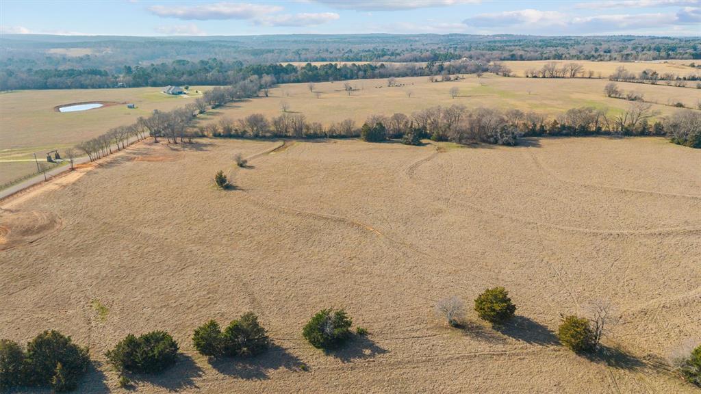 Mary V Lout Surv Abs #556 - Land