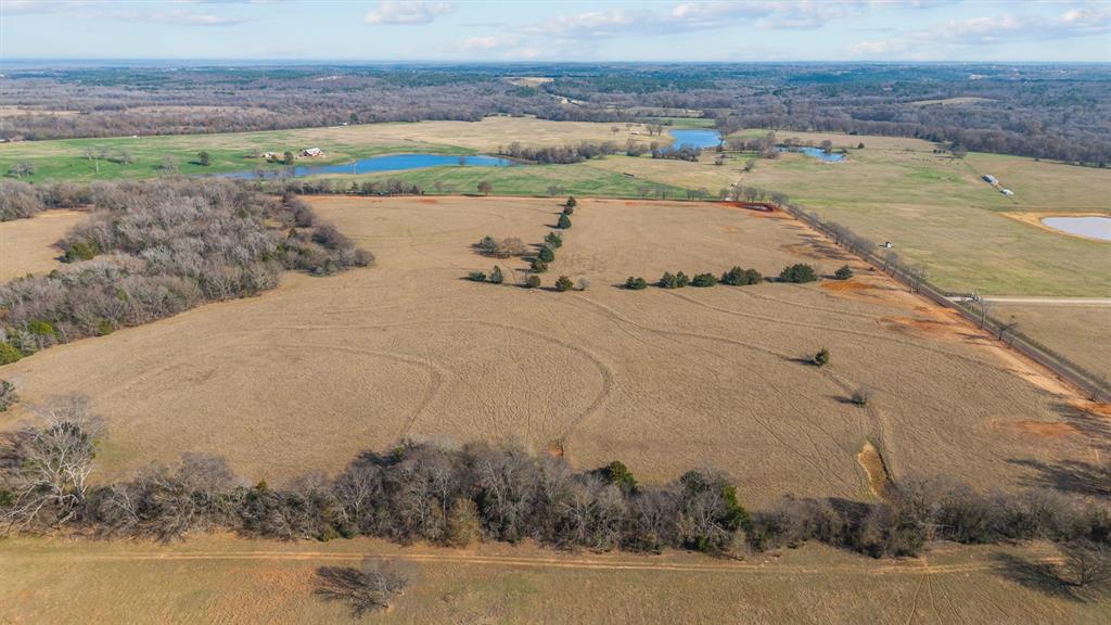 Mary V Lout Surv Abs #556 - Land