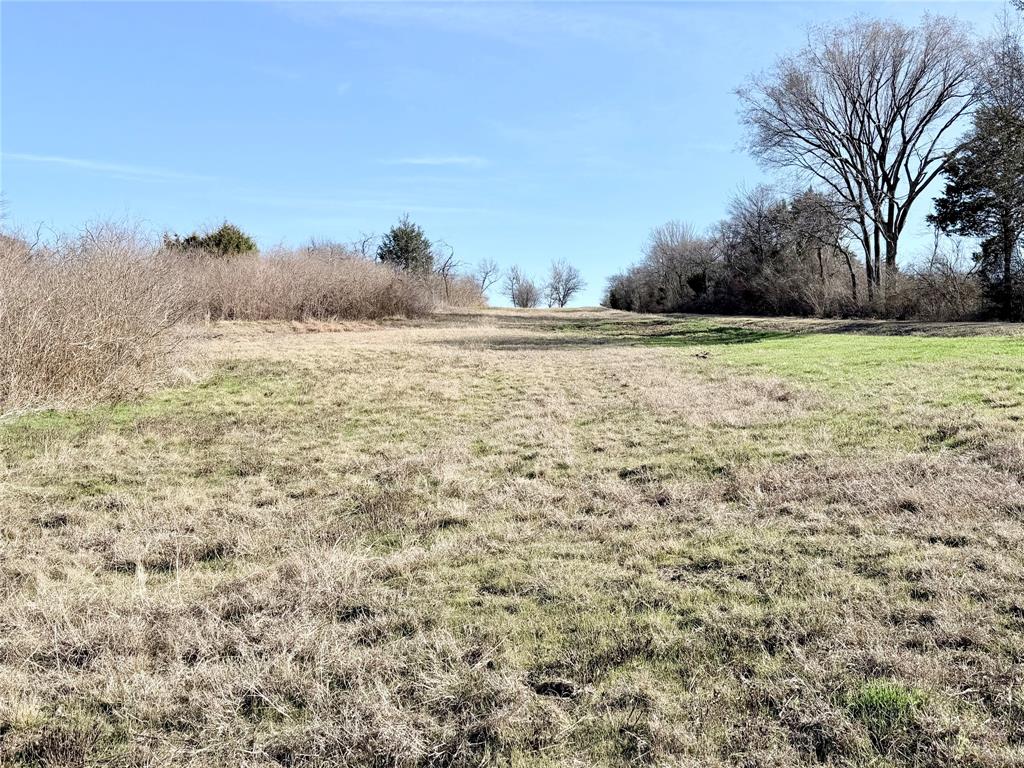 R W Williamson - Land