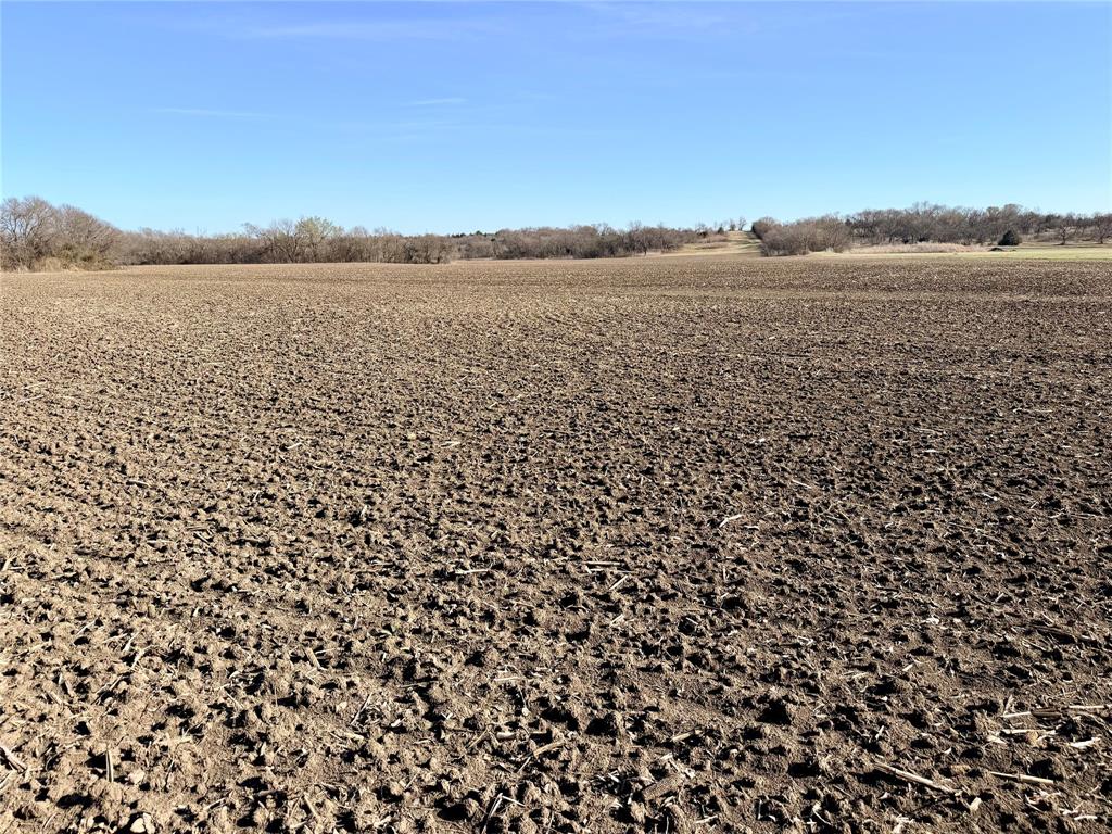 R W Williamson - Land