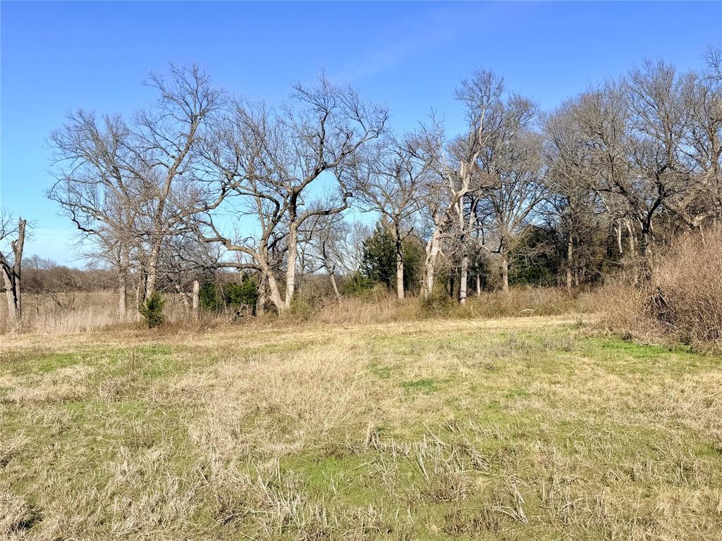 R W Williamson - Land