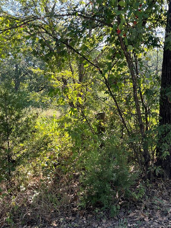 Photo 1 of 7 — 00 Pinewood Drive, Hawk Cove, TX 75474