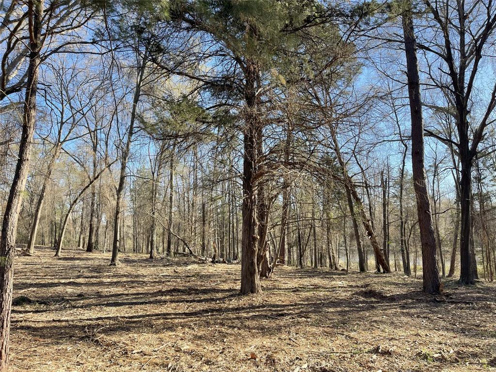 Legacy Lake Estates - Land