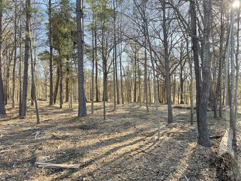 Legacy Lake Estates - Land