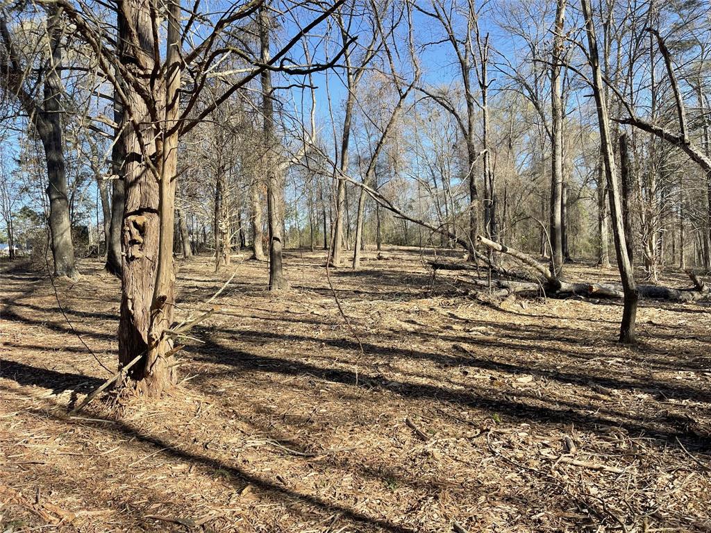 Legacy Lake Estates - Land