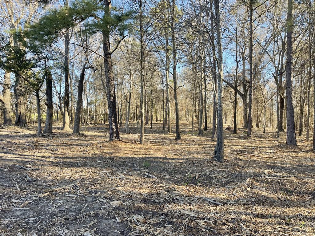 Legacy Lake Estates - Land