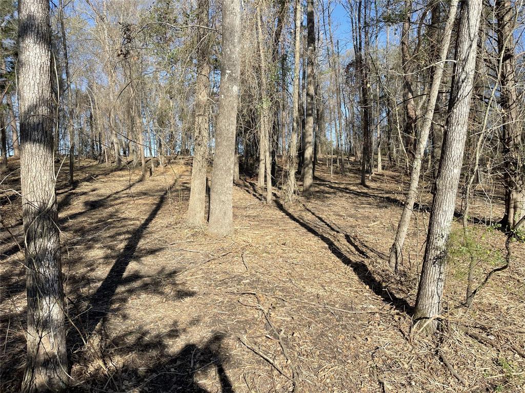 Legacy Lake Estates - Land