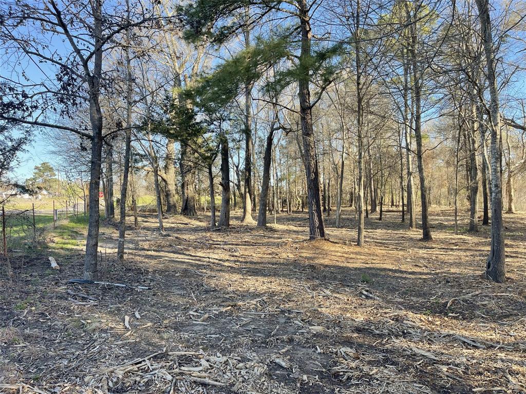 Legacy Lake Estates - Land