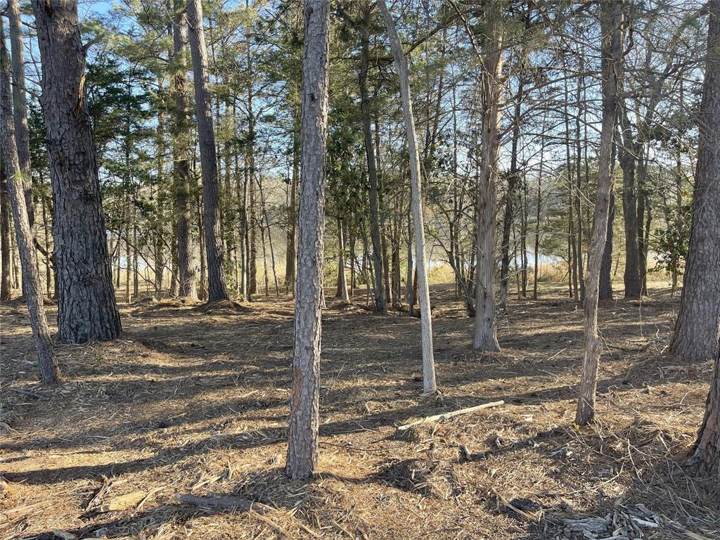 Legacy Lake Estates - Land