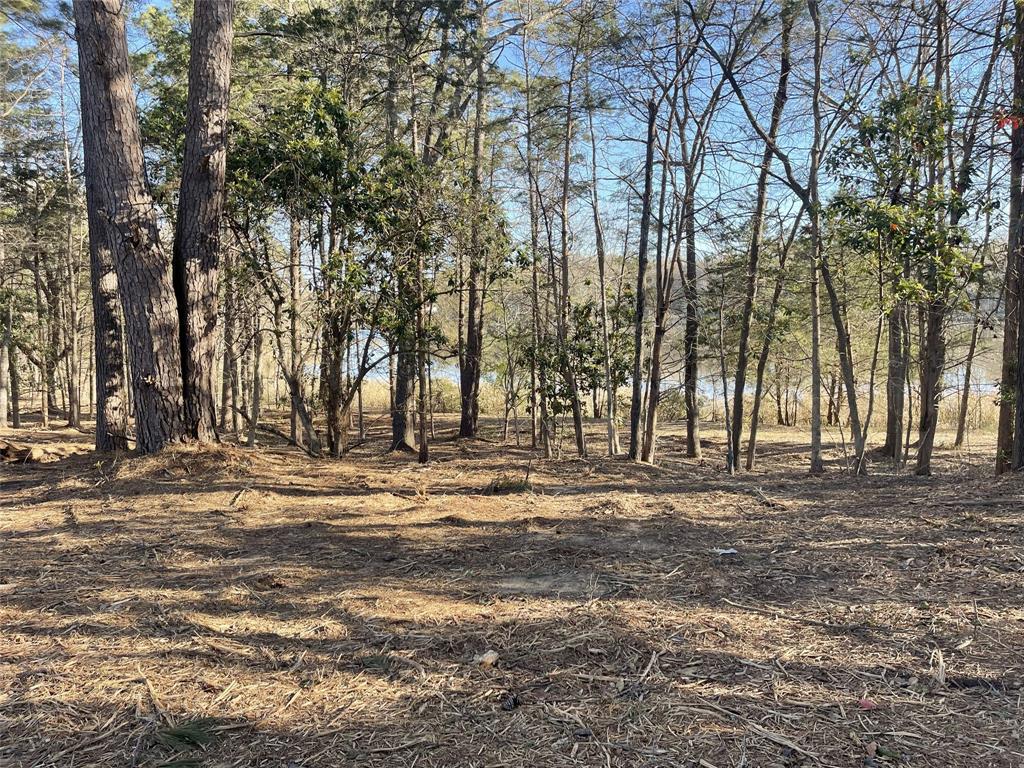 Legacy Lake Estates - Land