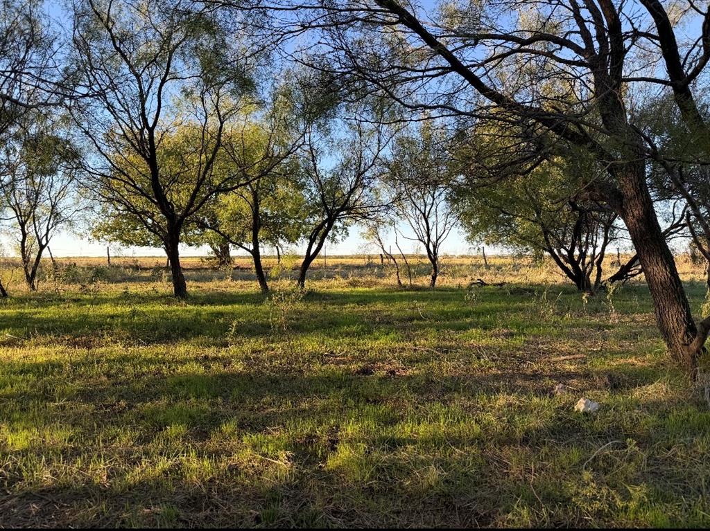 2241 Schlegel Road