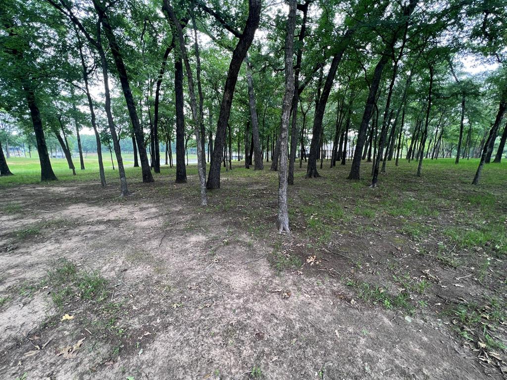 Pinnacle Club - Land