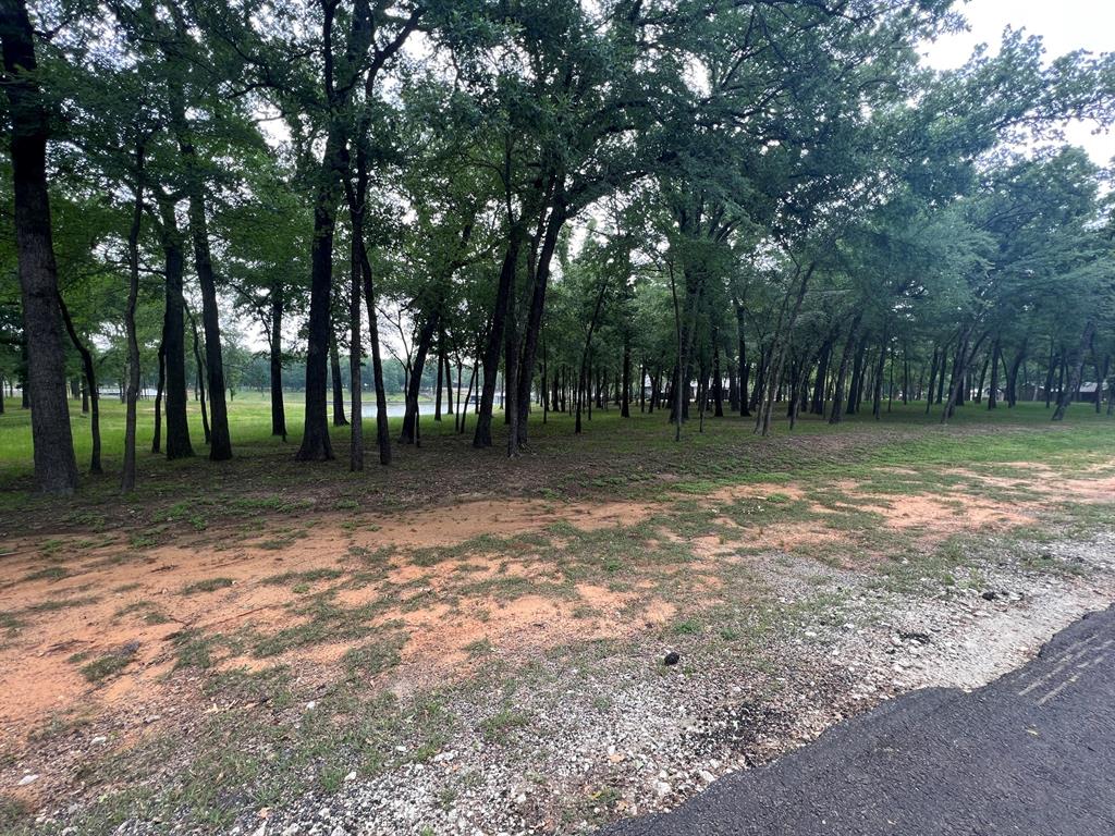 Pinnacle Club - Land