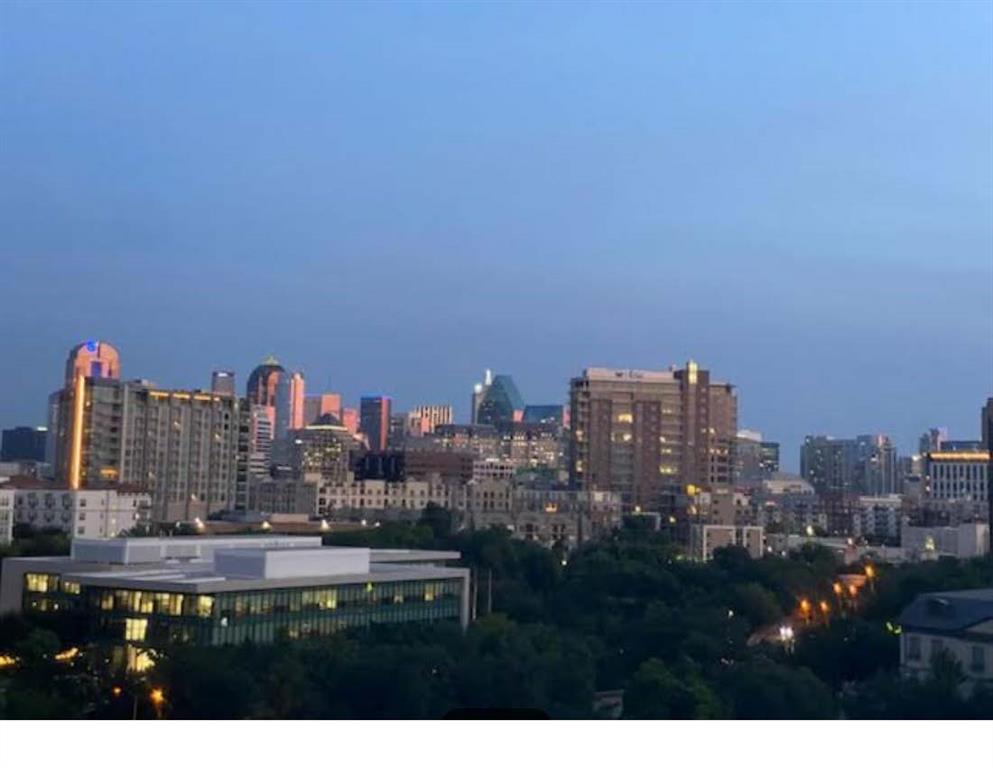 Renaissance On Turtle Creek Condo - Residential