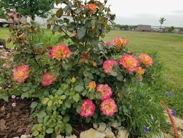 Highland Hills Ph1 - Residential