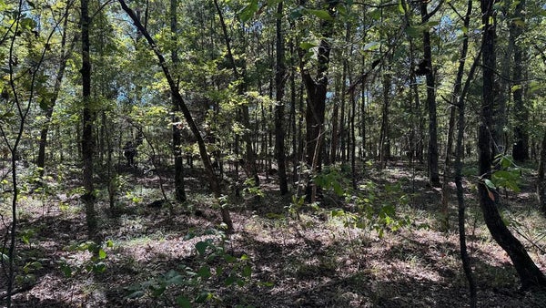 109 COUNTY RD 2115, BAGWELL, TX 75412 - Image 46f4e1c72c7ce3b5791113d3a5bf495a/609559144