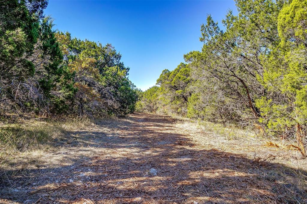 T PRICE - ABST 439 - Land