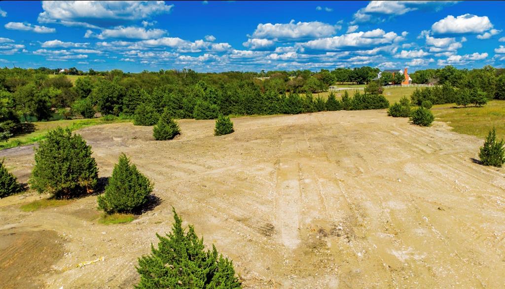 Ruth Peckum Surv Abs 175 - Land