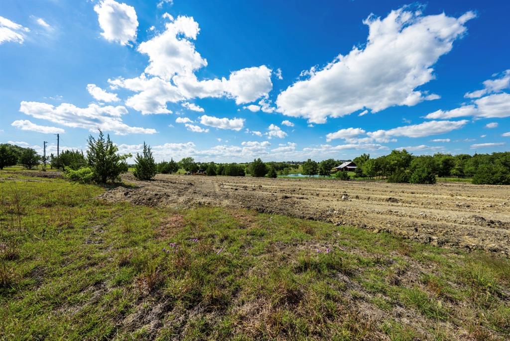 Ruth Peckum Surv Abs 175 - Land