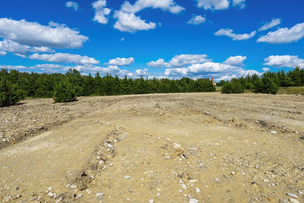 Ruth Peckum Surv Abs 175 - Land