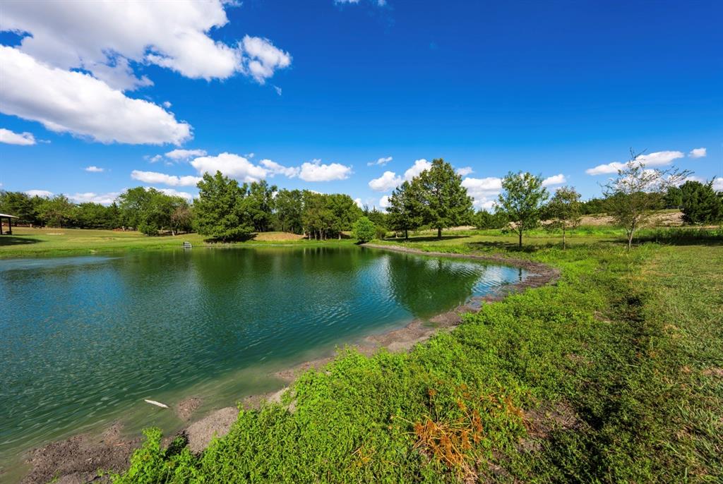 Ruth Peckum Surv Abs 175 - Land