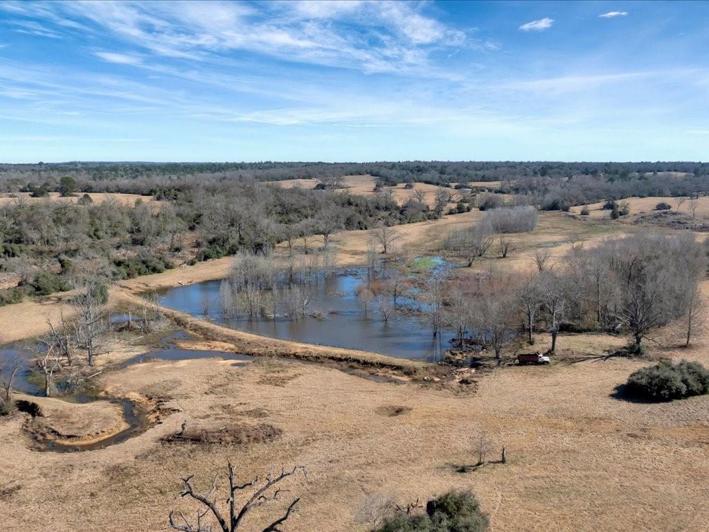 Photo of 0 County Road 275, Buffalo, TX 75831 (MLS # 21375093)