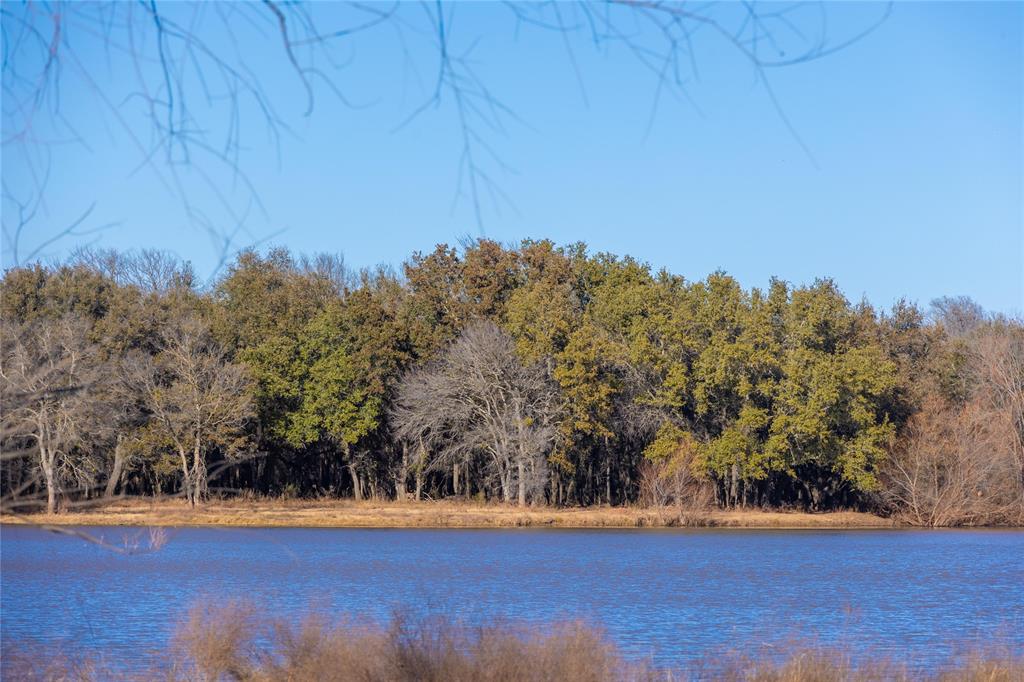 24000 State Highway 279